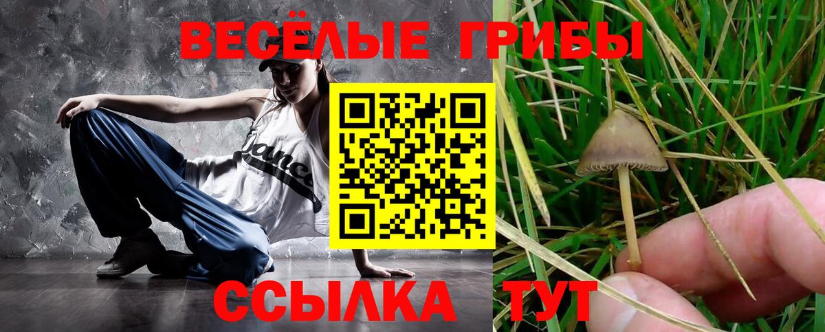 Саянск  Галлюциногенные грибы Magic Shrooms  Вход с VPN  Псилоцибиновые грибы Cubensis 