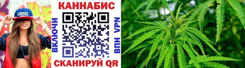 Бошки марихуана гибрид где найти наркотики Саянск